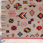 Handmade Taznakht Flatwoven Rug 6x10 ft – Colorful Moroccan Berber Wool Rug